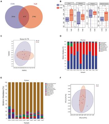 Supplementation of coated sodium butyrate relieved weaning stress and reshaped microbial flora in weaned lambs